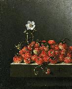 Adriaen Coorte Still life with wild strawberries. France oil painting artist